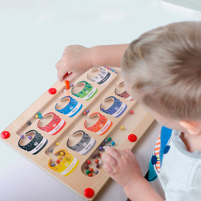 SortBoard – didaktinis žaislas, skirtas rūšiavimui ir spalvų mokymuisi