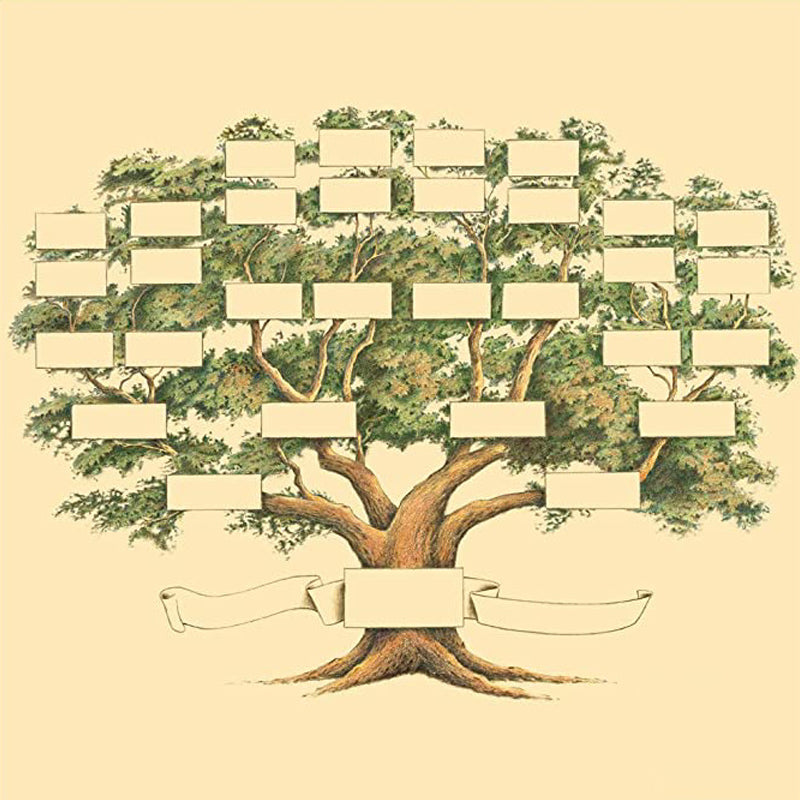 Genealoginio medžio paveikslas - fiksuokite savo giminės šaknis